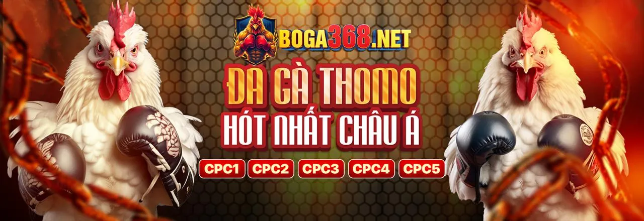 Chính sách Cookie sc88 okvip